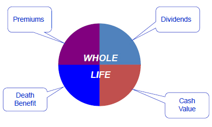 whole life